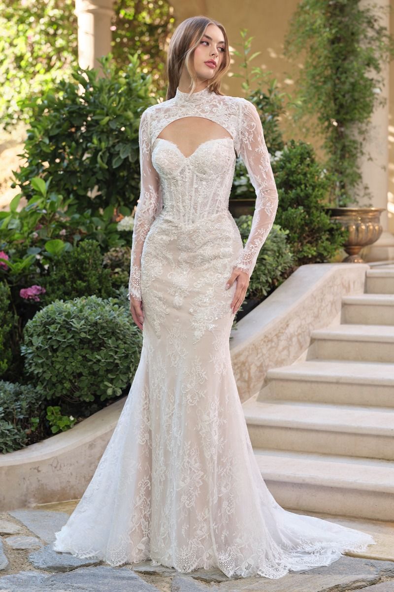 Vestido Novia WL071