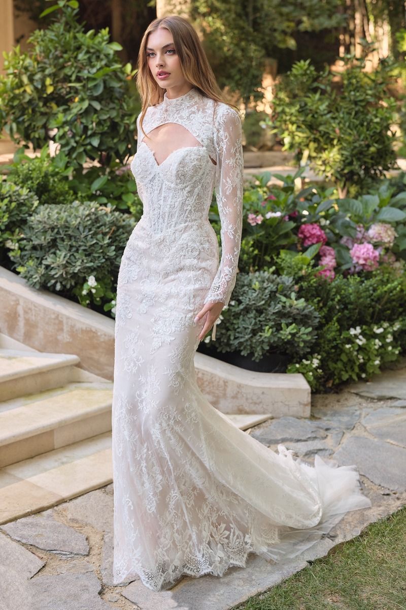 Vestido Novia WL071